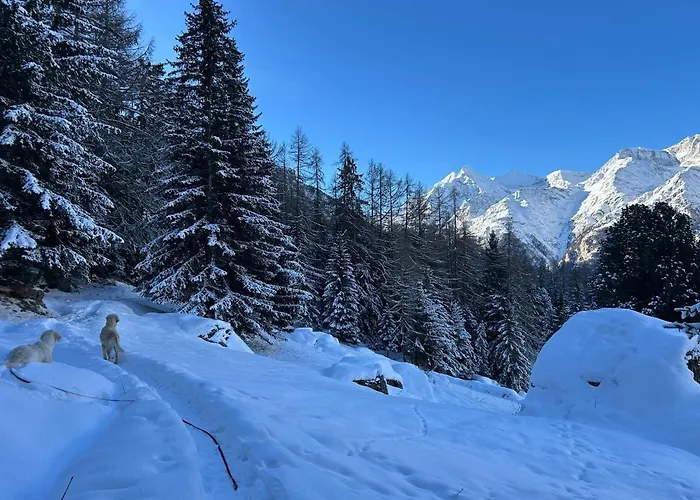 Luxury Panoramic View Fireplace Sauna Garden *